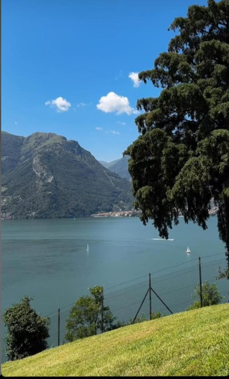 Villa Meraviglia - Villa With Breathtaking Lake Como Views Colico Exterior foto